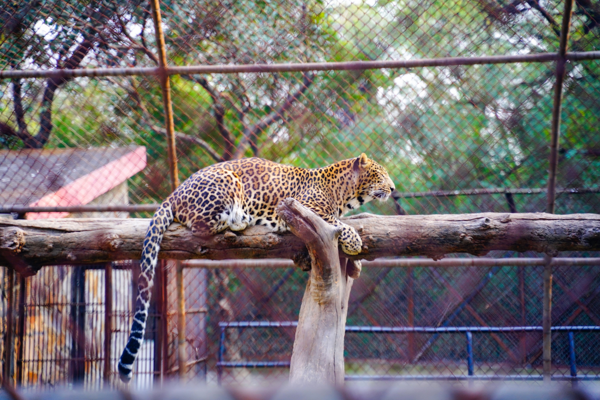 3. Preis – Zoobesuch